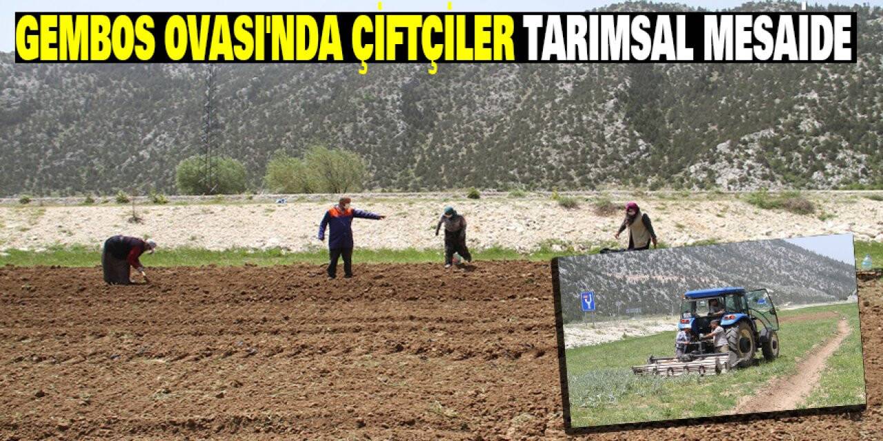 Gembos Ovası'nda Çiftçiler  Tarımsal Mesaide
