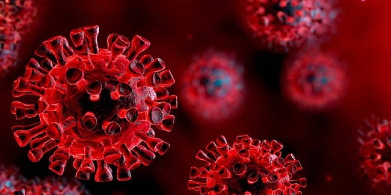 Aydın'da 2 stajyer doktorun Kovid-19 testi pozitif çıktı