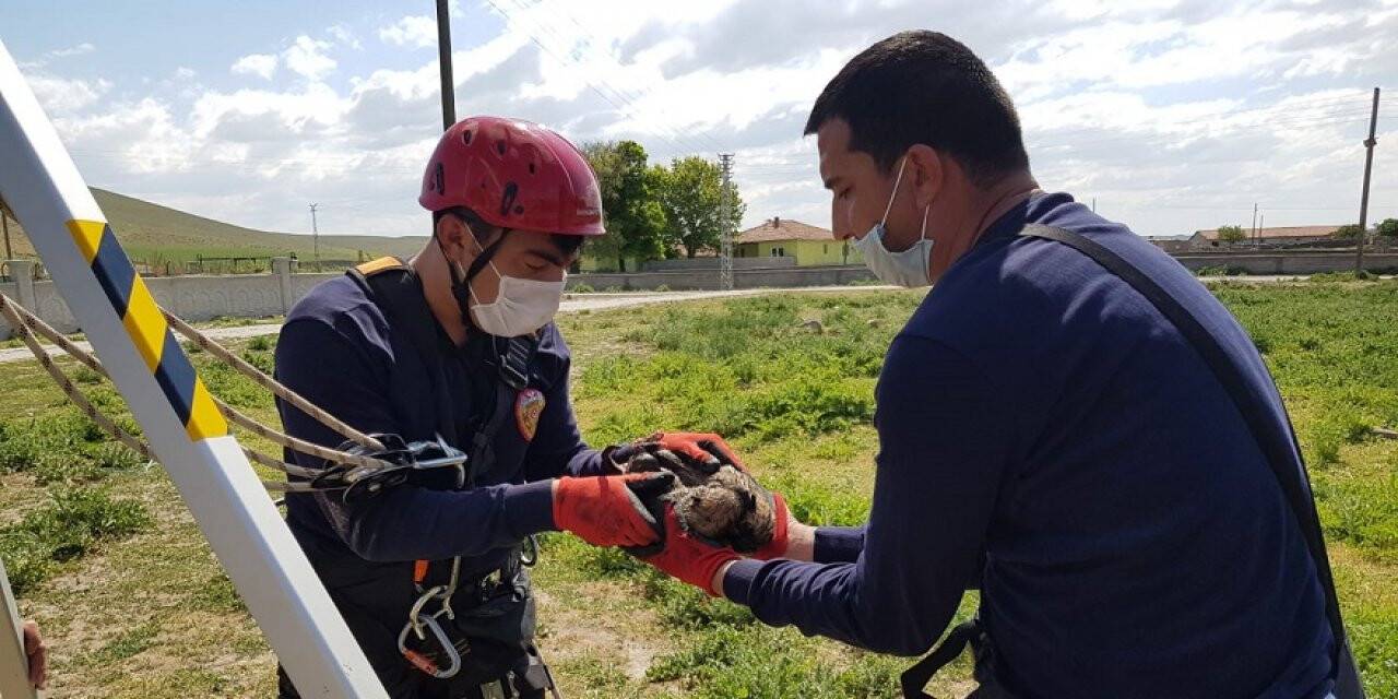 Konya'da Su Kuyusuna Atılan Köpek Yavruları Kurtarıldı