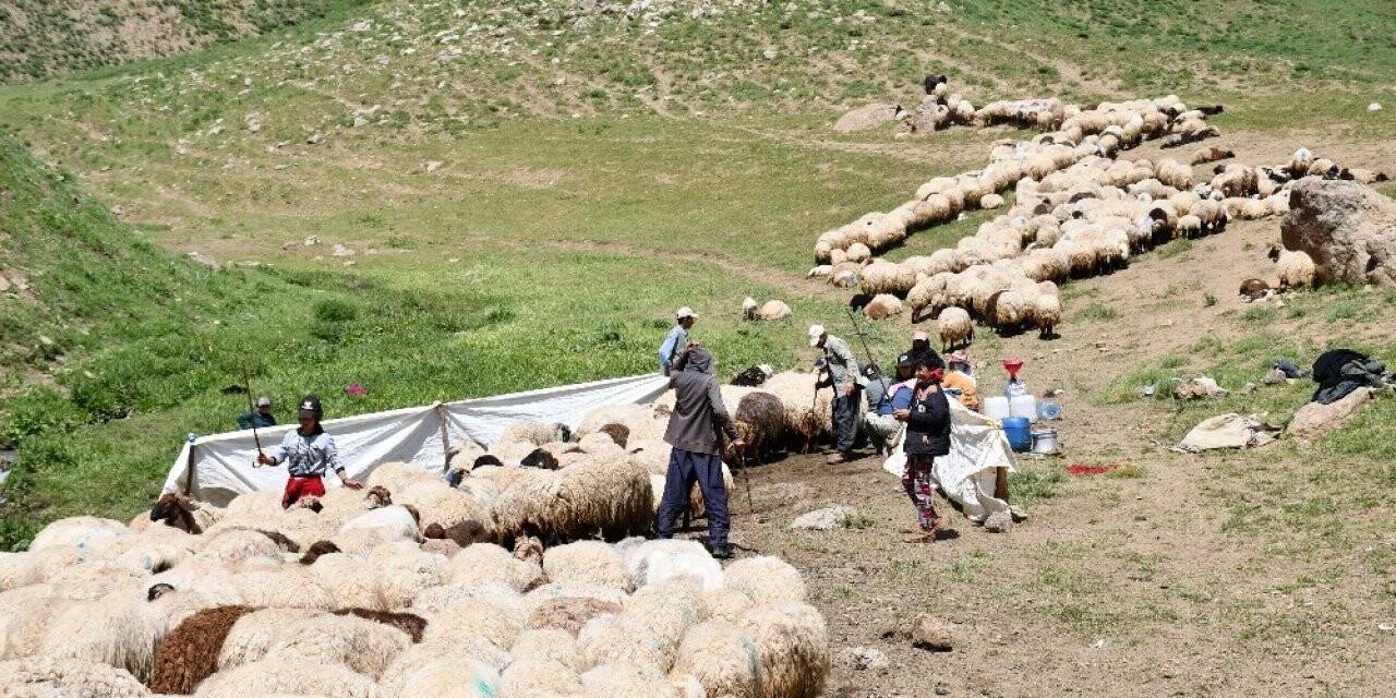 Terörün Kökü Kazındı Yaylalar Göçerlerle Dolup Taştı