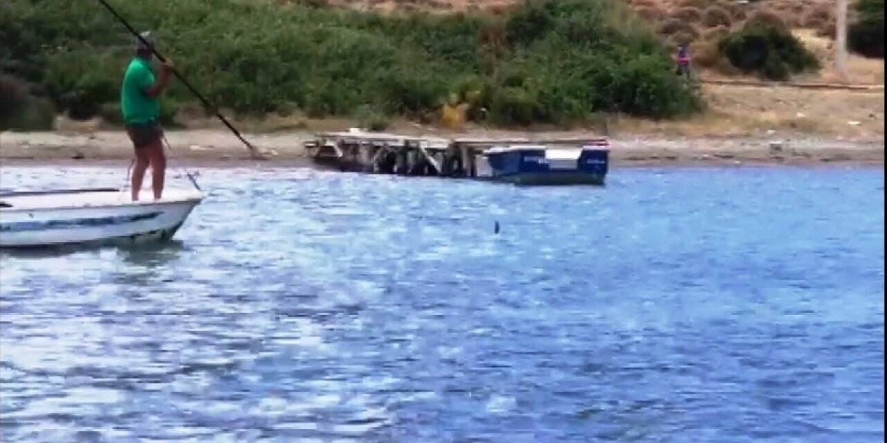 Öldürülen köpekbalığı yetkilileri harekete geçirdi