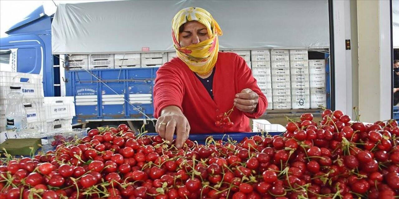 Meyveye Talep Arttı