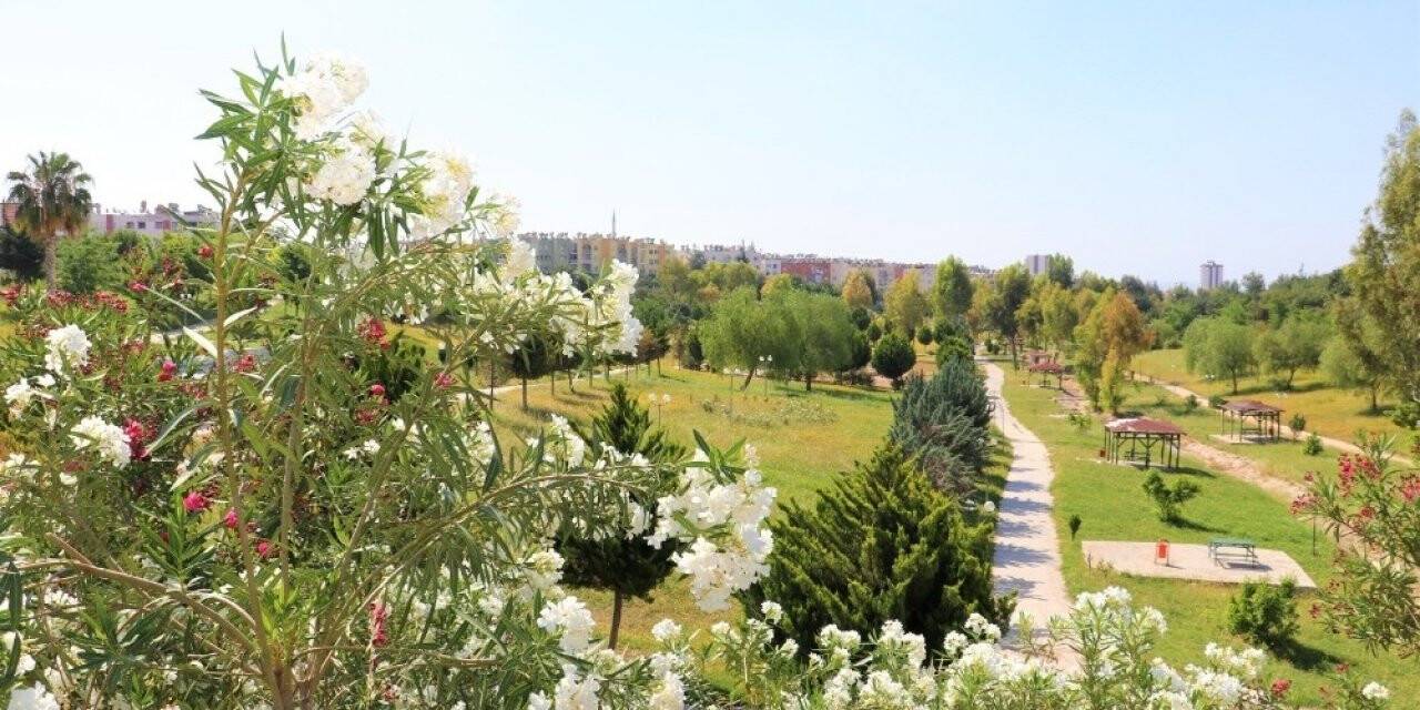 Toroslar’ın Parkları Kır Çiçekleriyle Renklendi