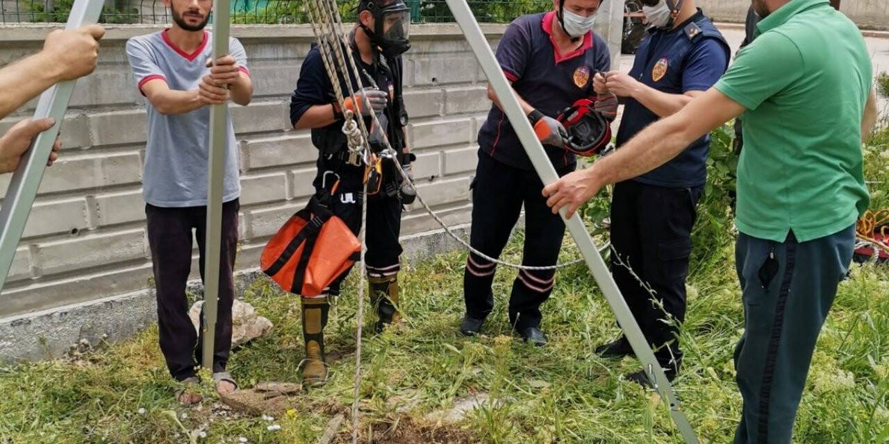 Kuyuya düşen kuzu kurtarıldı