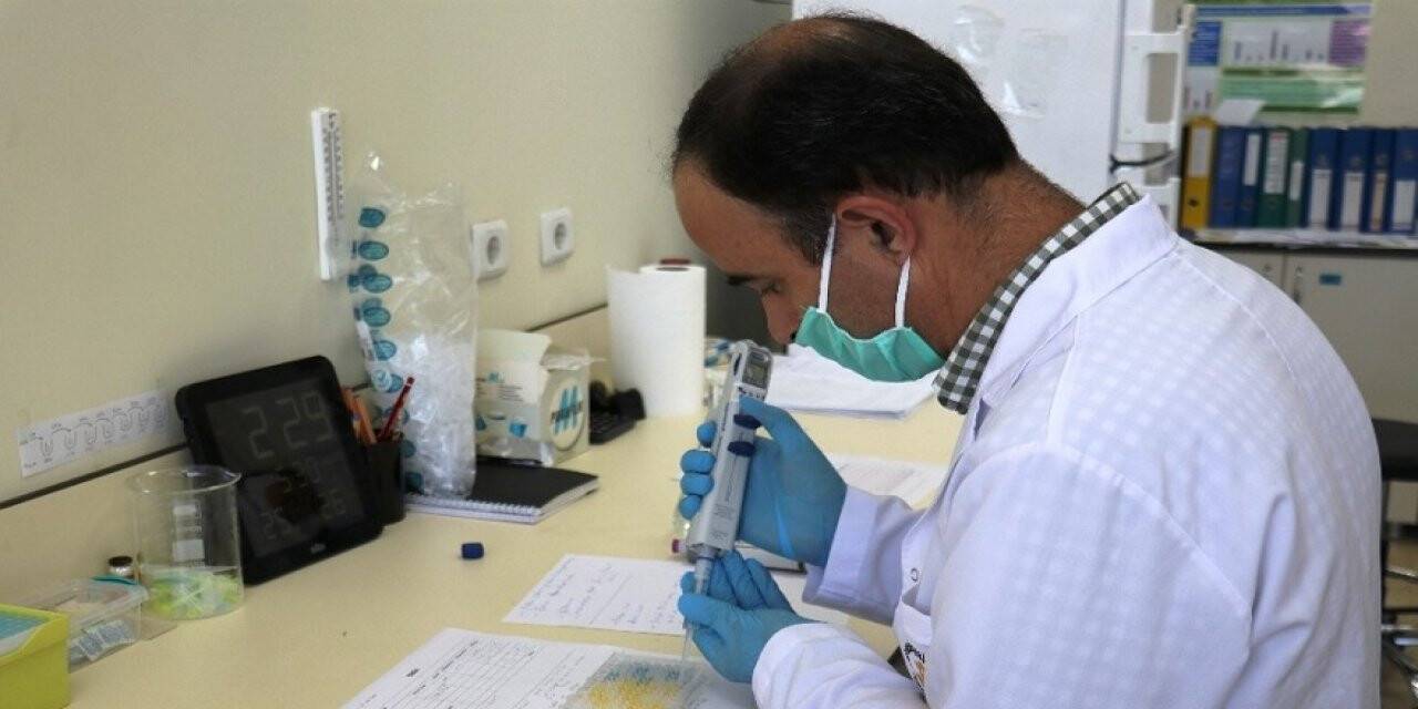 Koronavirüse yeni test