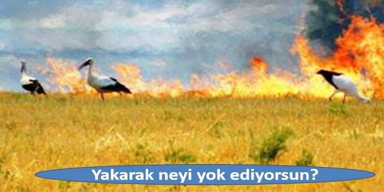 Anız yakanlara ’ceza’ uyarısı