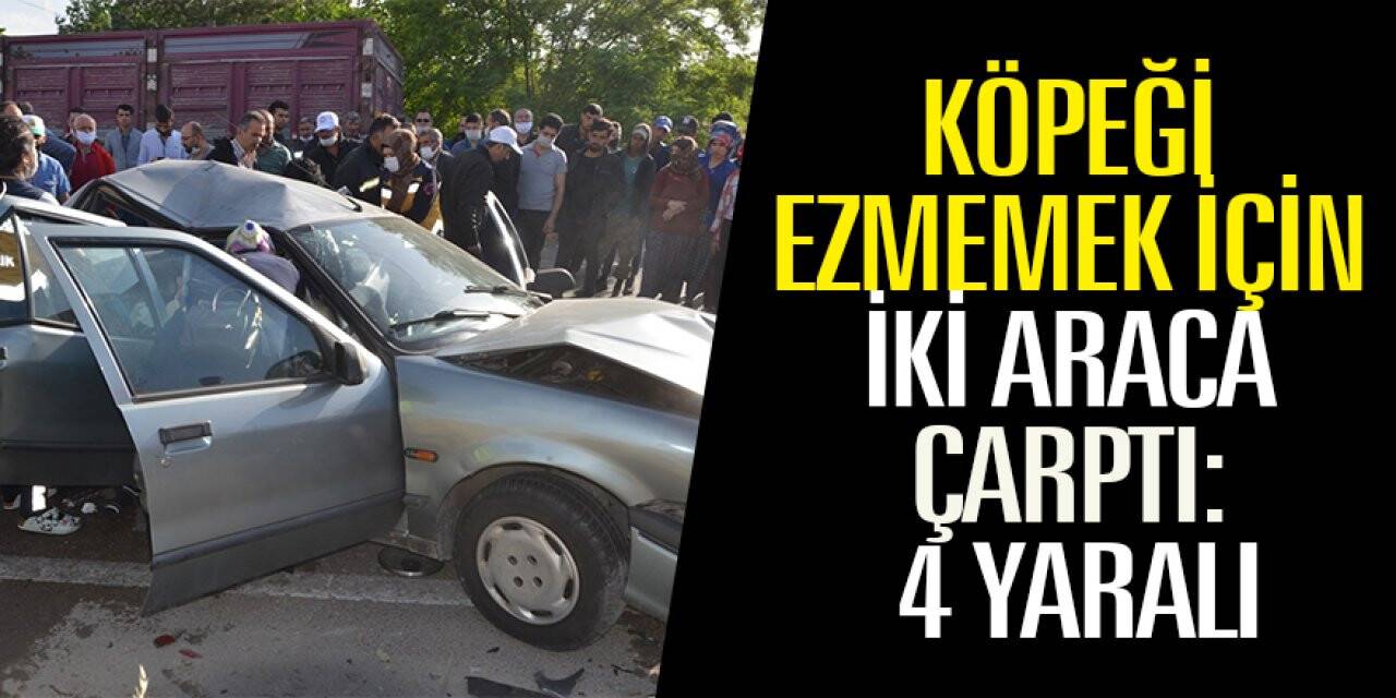 Köpeği ezmemek için iki araca çarptı: 4 yaralı