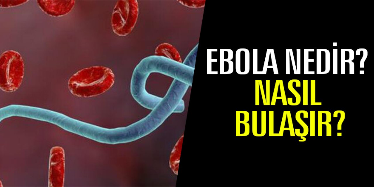 Ebola Nedir?