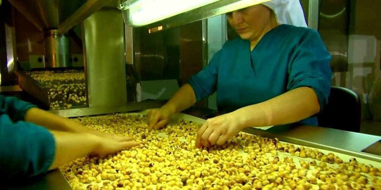 Fındık ihracatı yüz güldürdü