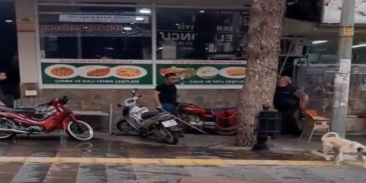 Köpeği sopayla döven adama ceza yağdı