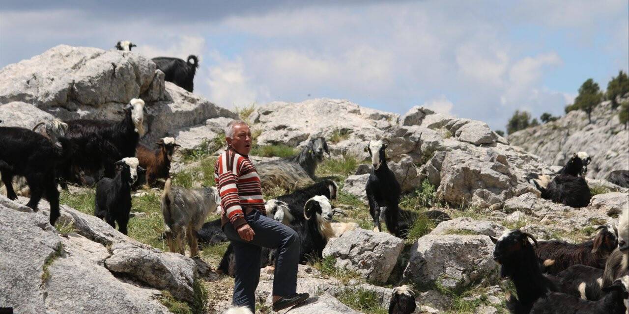 Yörüklerin Küpe Dağı'ndaki zorlu yaşam mücadelesi