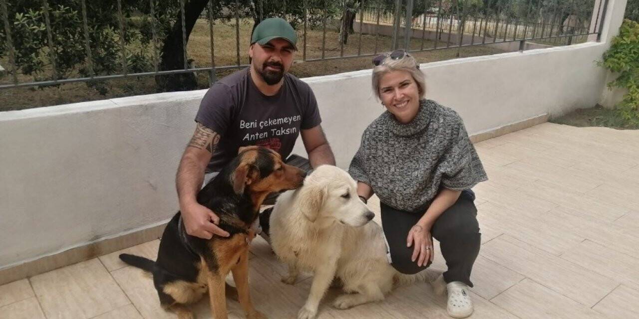 Gurbetçi çiftin tatil hayali kabusa dönüştü