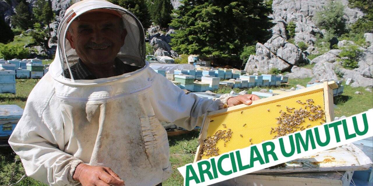 Arıcılar umutlu