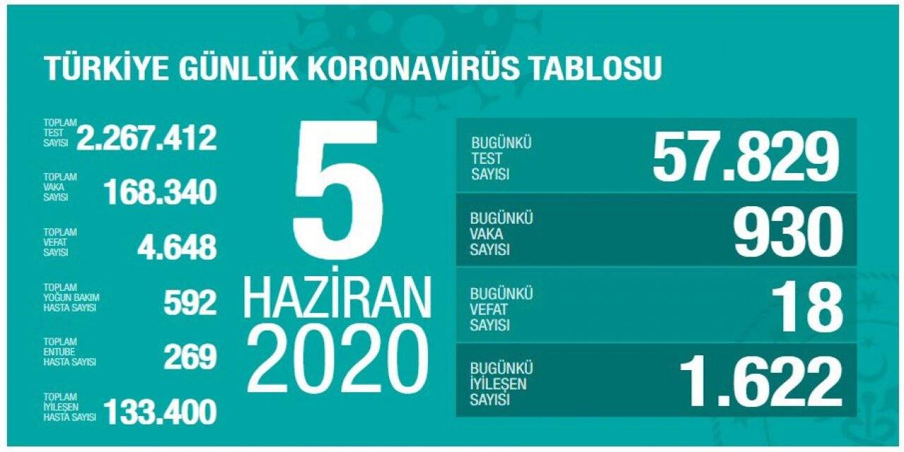 Türkiye'de Kovid-19'dan iyileşenlerin sayısı 133 bin 400 oldu