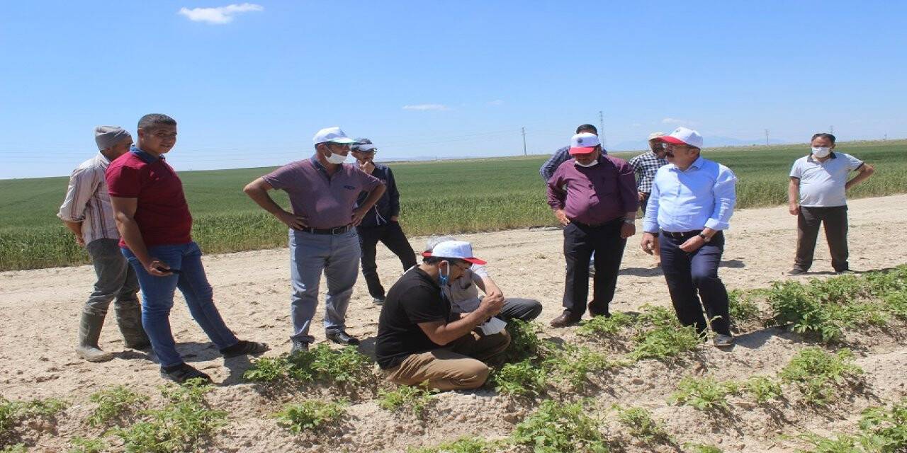 Karapınar'da dolu hasar tespit çalışması