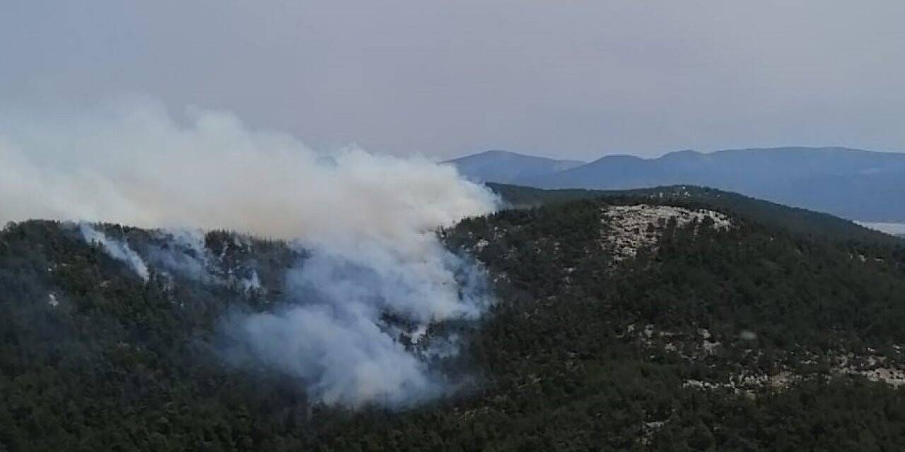 Muğla'da orman yangını