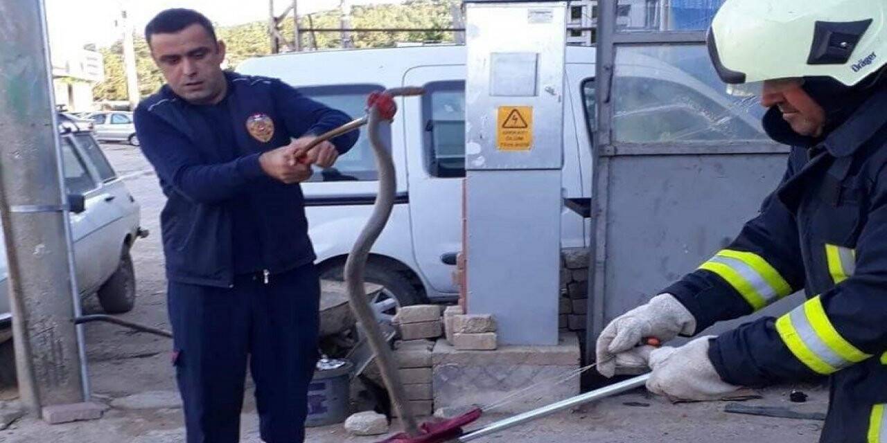 Konya Doğanhisar’da motordan yılan çıktı