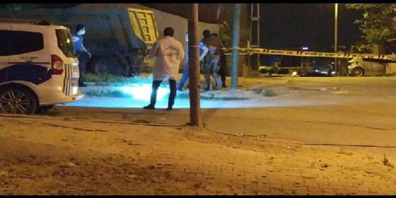 Kardeş kavgası kanlı bitti