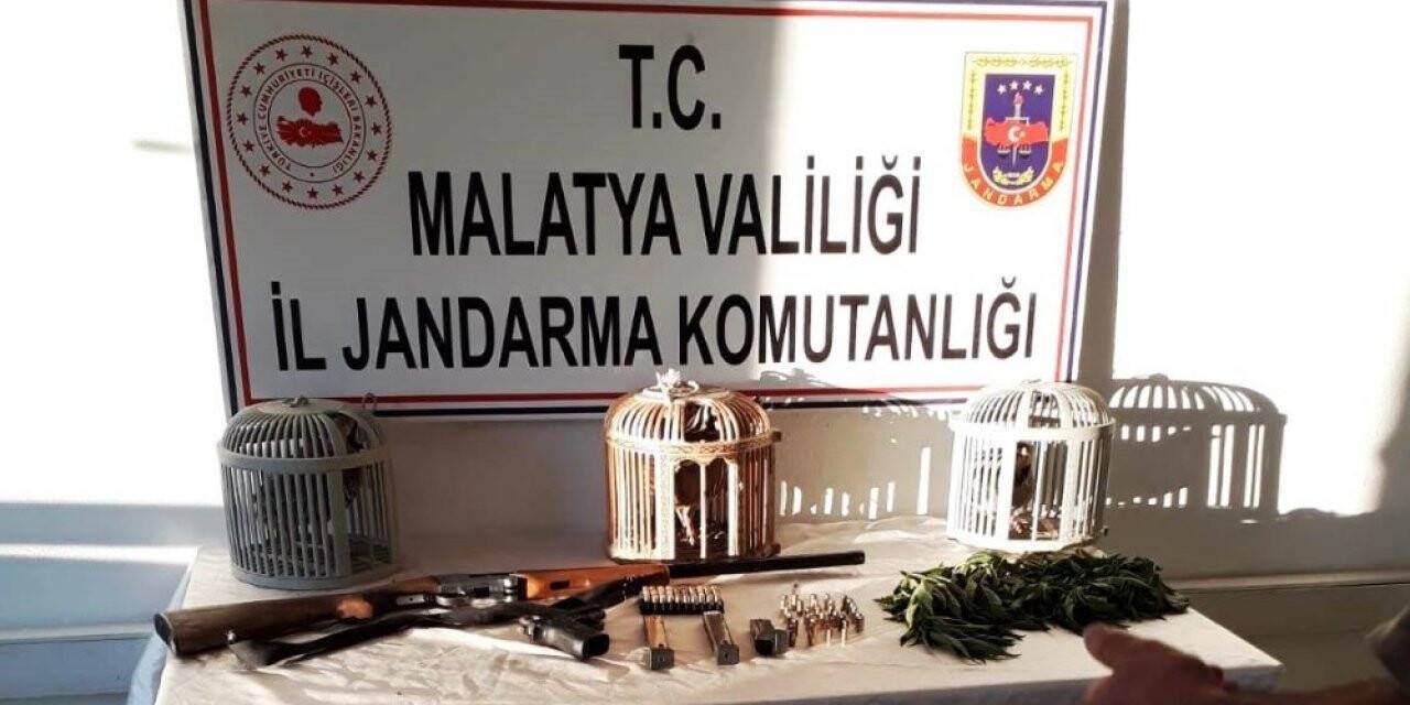 Keklik avına ceza