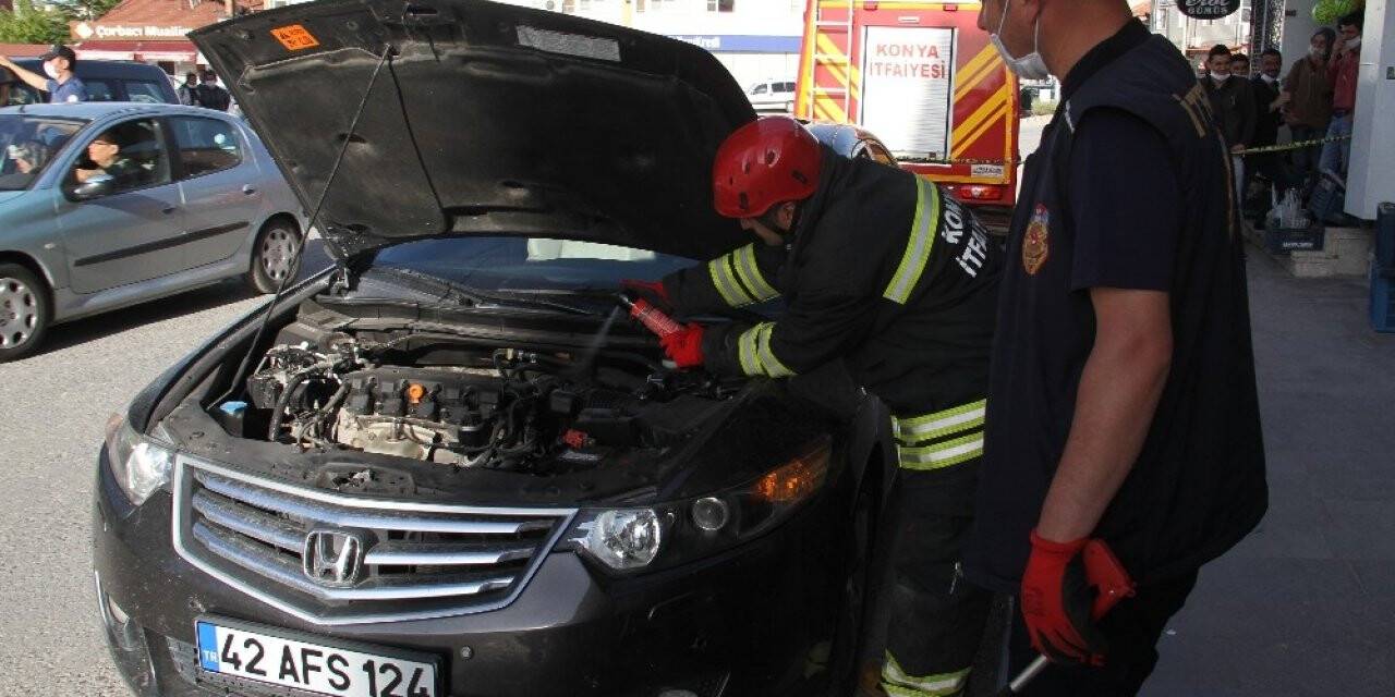 Otomobile giren yılan paniğe yol açtı