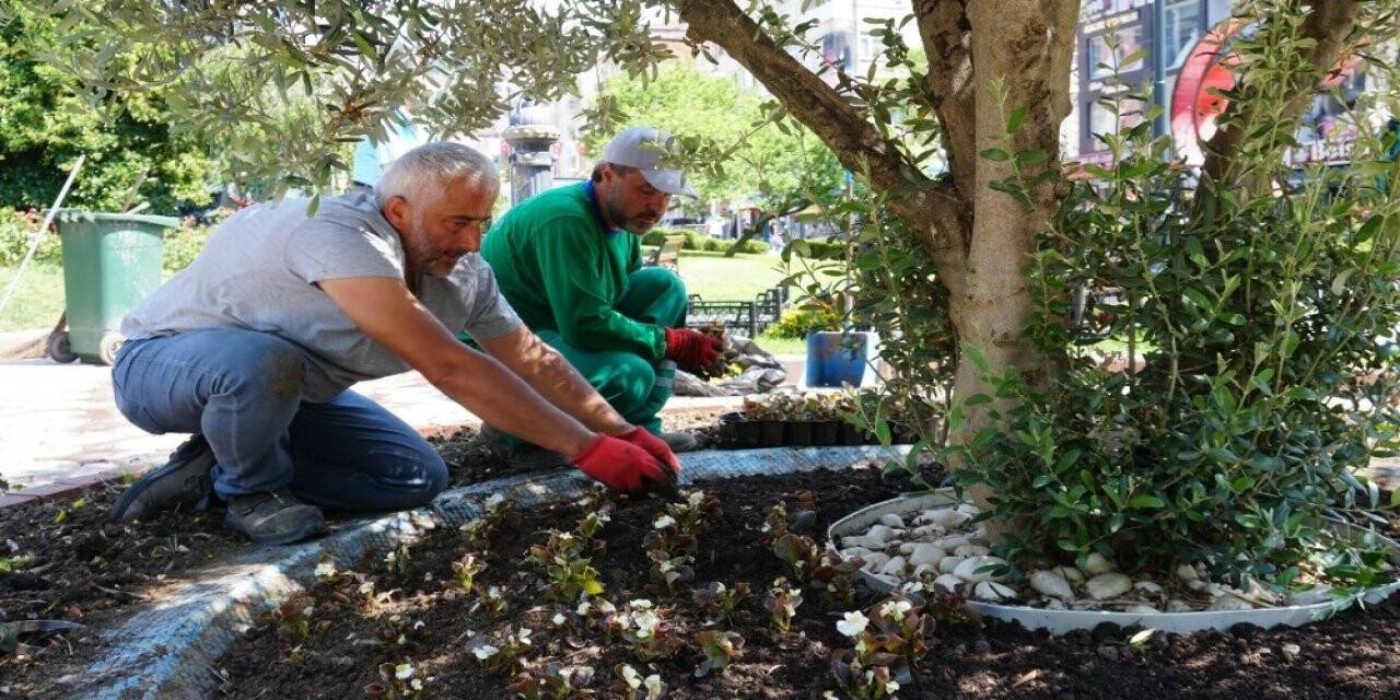 İzmit’te çiçekler toprakla buluşmaya devam ediyor