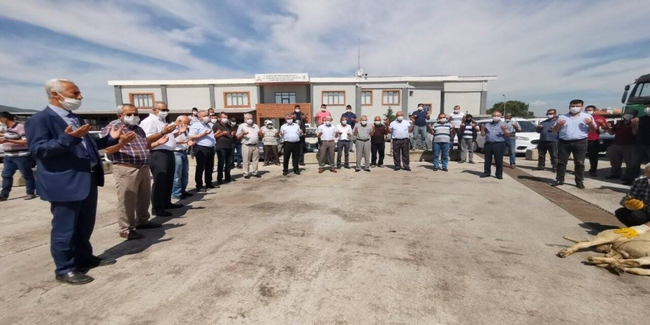 7 ile 170 bin ton yardım kömürü sevkiyatı başladı