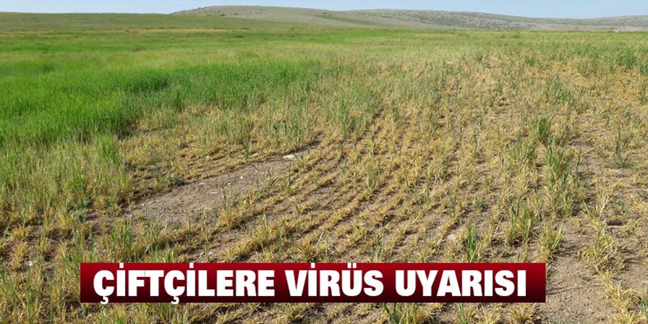 Çiftçileri bekleyen tehlikeye karşı uyarı!