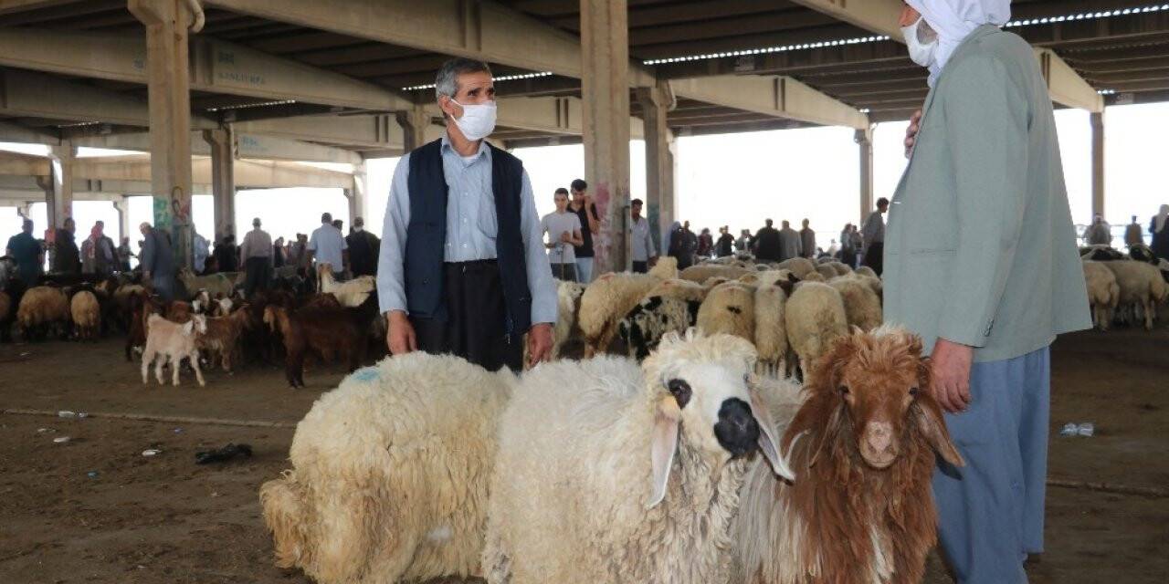 Hayvan pazarında çubuklu anlaşma dönemi