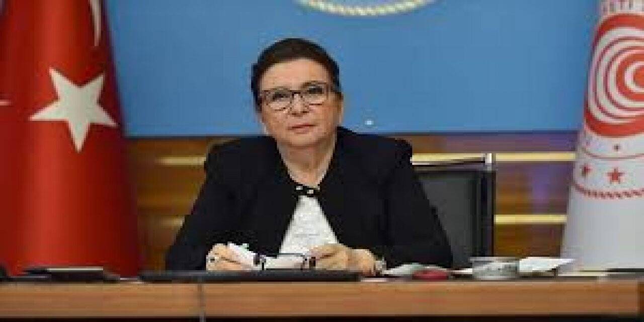 Hizmet sektörüne sanal fuar ve sanal ticaret heyeti desteği