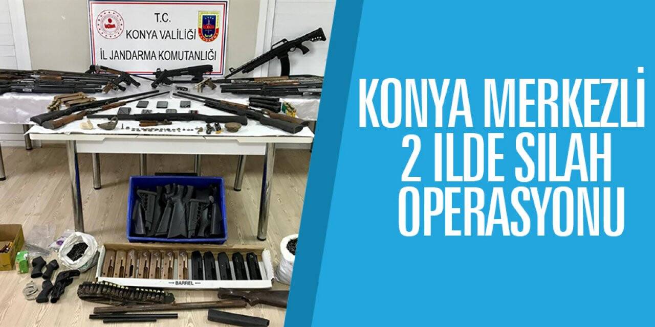 Konya merkezli 2 ilde silah operasyonu
