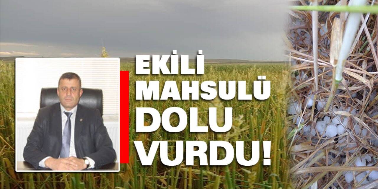 Konya'da Ekili mahsulü dolu vurdu