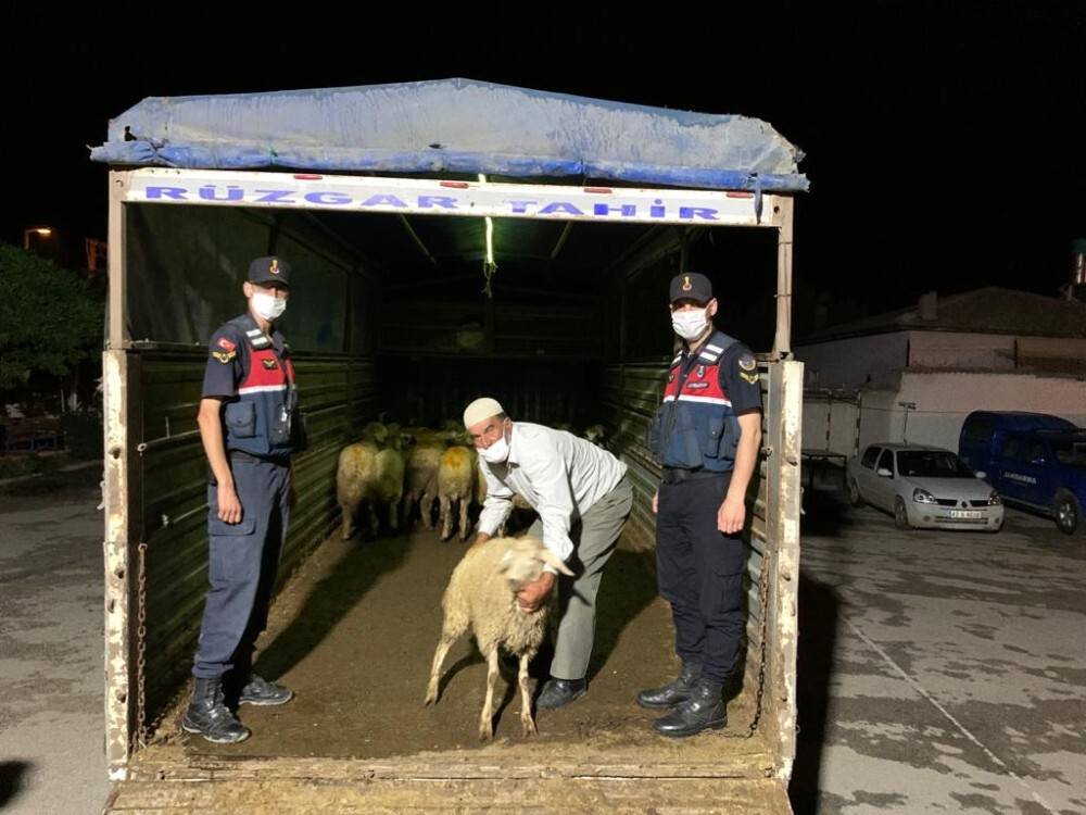 Konya’da 40 küçükbaş hayvanı çalan 7 şüpheli suçüstü yakalandı