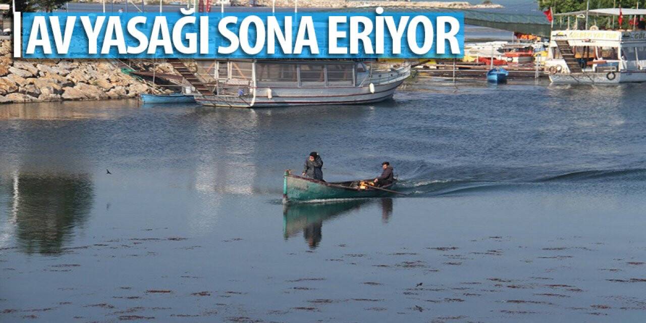 Beyşehir Gölü'nde av yasağı sona eriyor