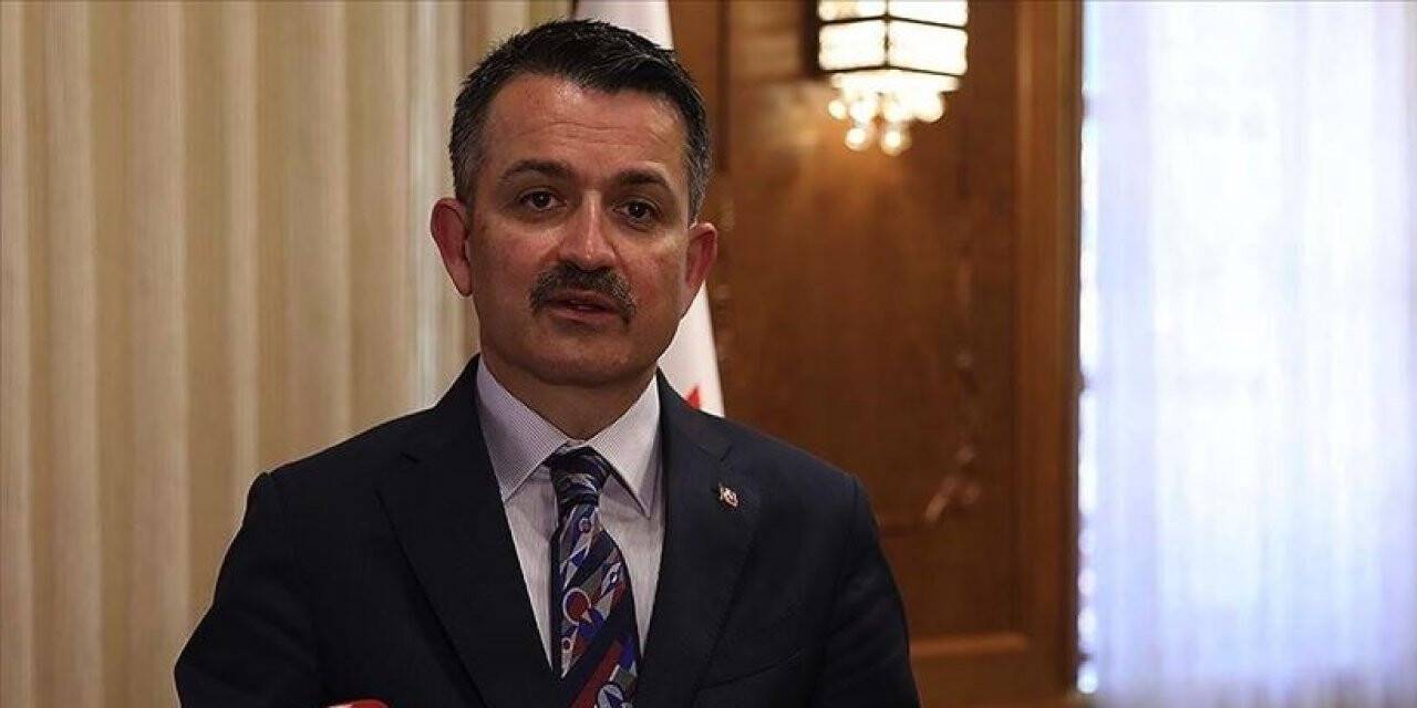 Bakan Pakdemirli: Depremde telef olan hayvanlarla ilgili zararı karşılayacağız