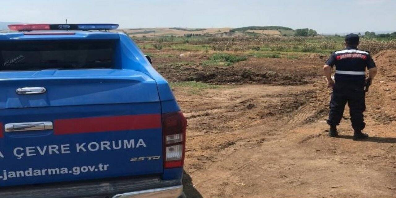 Kamyonla çevreye tavuk ölüsü attı