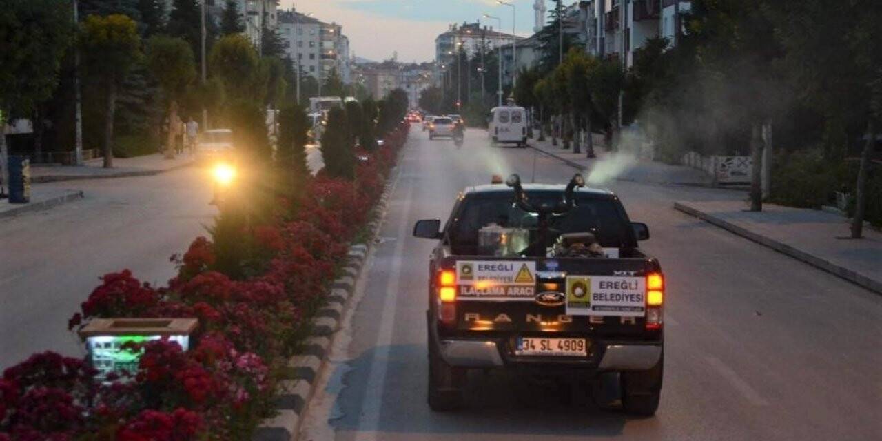Ereğli'de sinek ve haşerelere karşı erken önlem