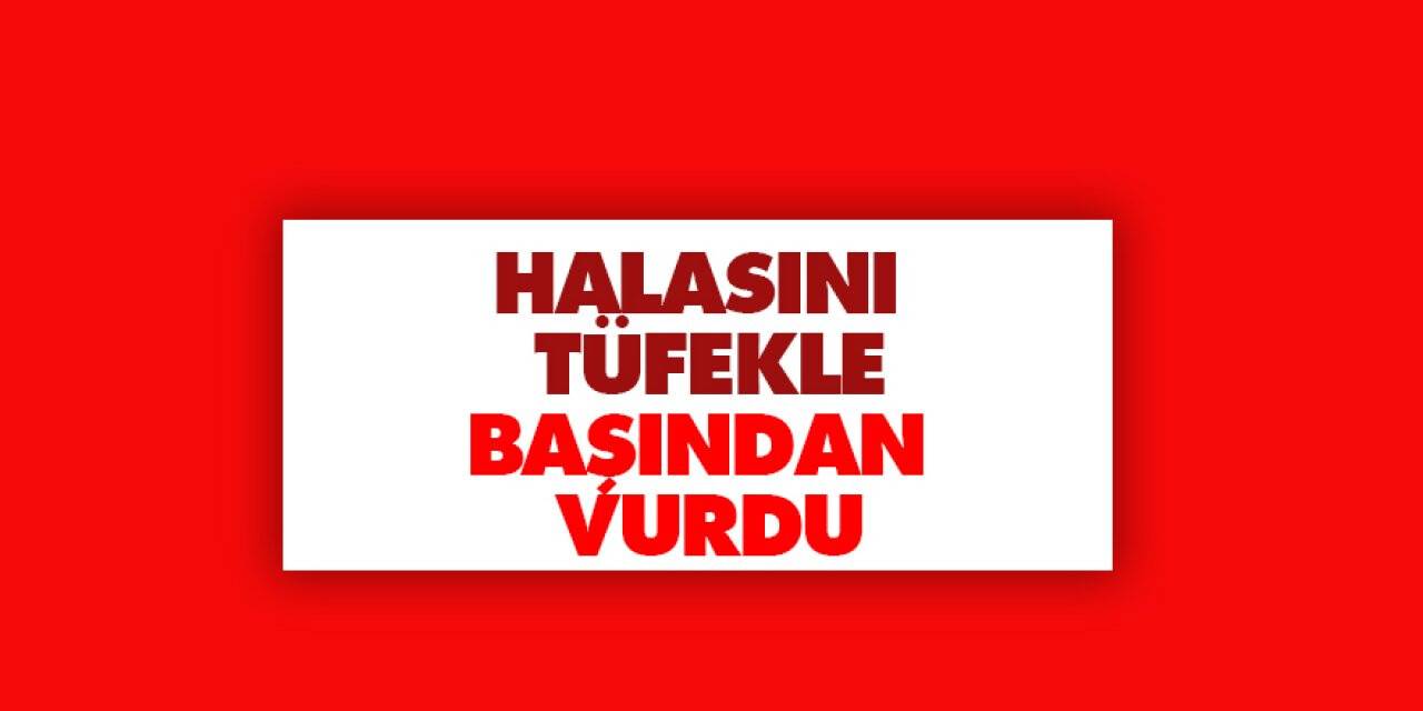 Halasını tüfekle başından vurdu