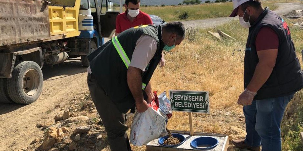 Seydişehir'de belediye ekipleri sokak hayvanlarını da unutmuyor