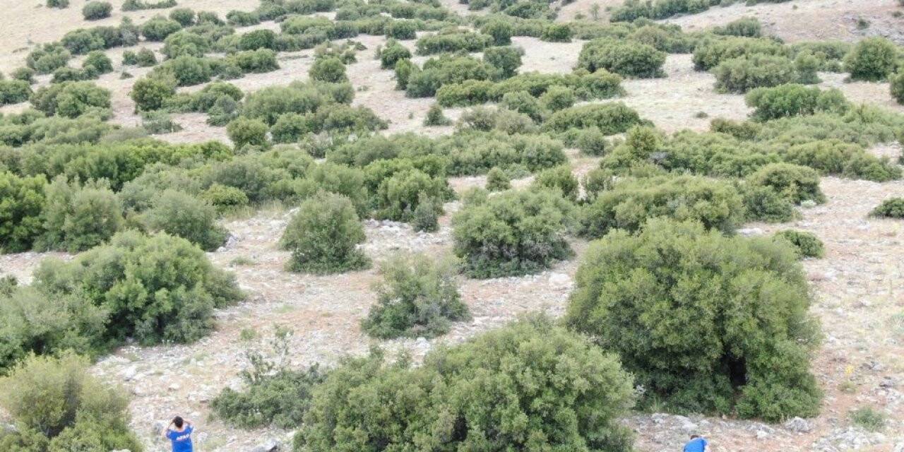 Kaybolan zihinsel engelli kadın 12 saattir aranıyor