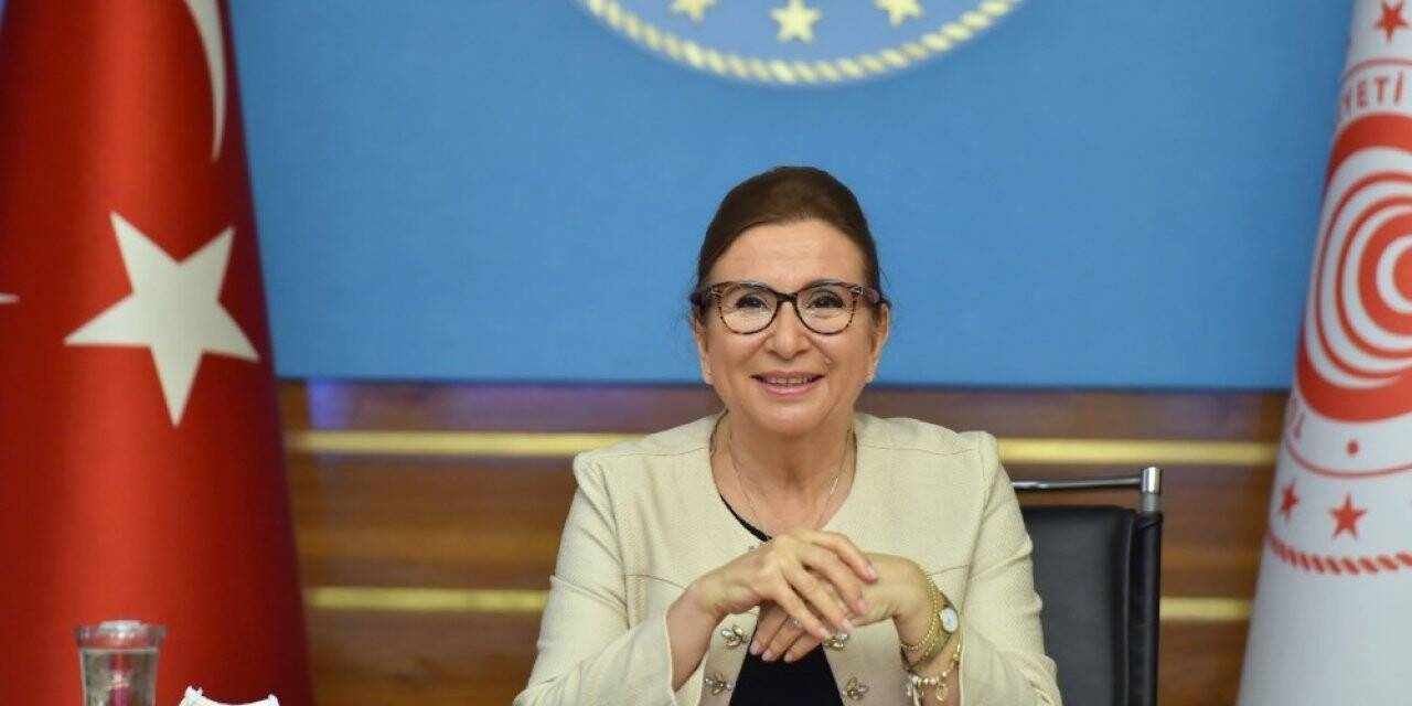 Ticaret Bakanı Pekcan, Güney Koreli mevkidaşı ile görüştü