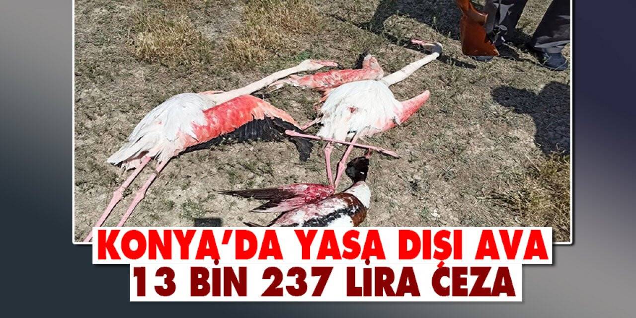 Konya'da yasa dışı ava 13 bin 237 lira ceza