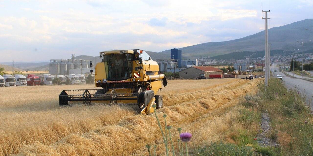 Yunak'ta sezonun ilk arpa hasadı yapıldı