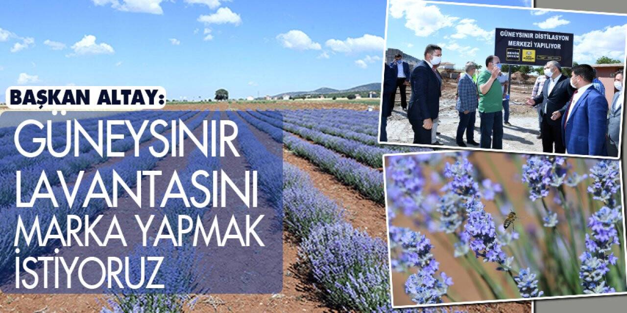 Başkan Altay: 'Güneysınır lavantasını marka yapmak istiyoruz'