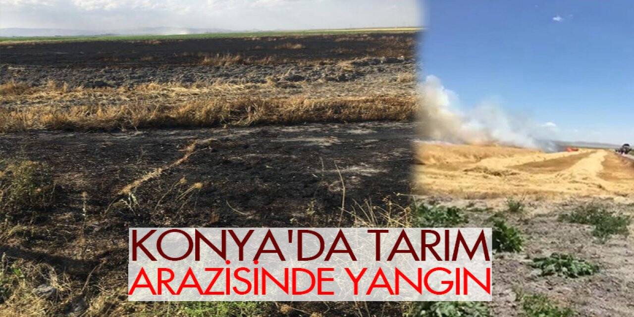 Konya'da tarım arazisinde yangın