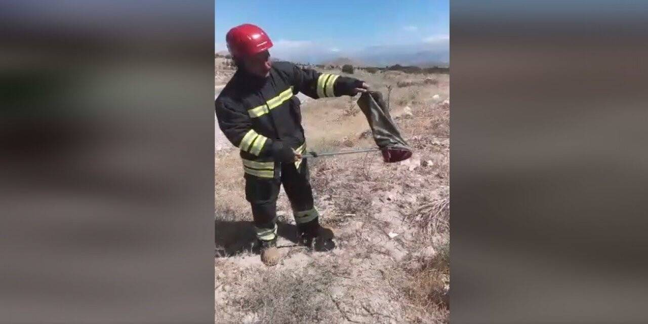 Evde yılan paniği