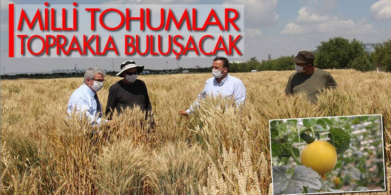 Konya Gıda ve Tarım Üniversitesinin geliştirdiği milli tohumlar toprakla buluşacak