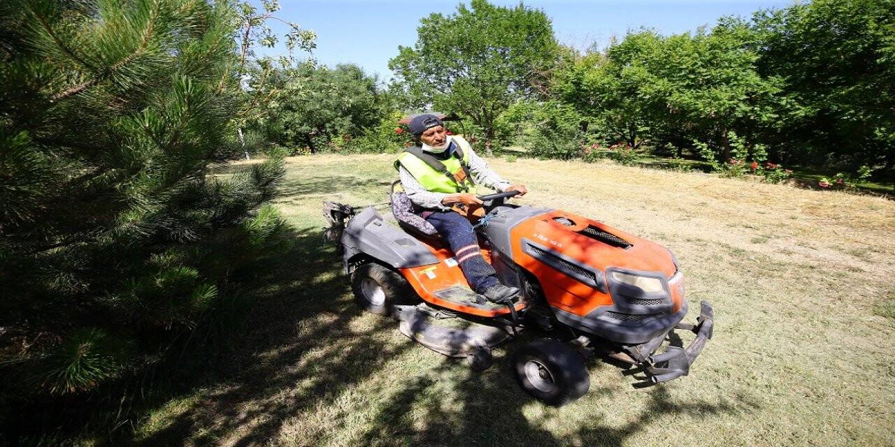 Hayatını Yeşile Adadı  Binlerce Ağaç Dikti