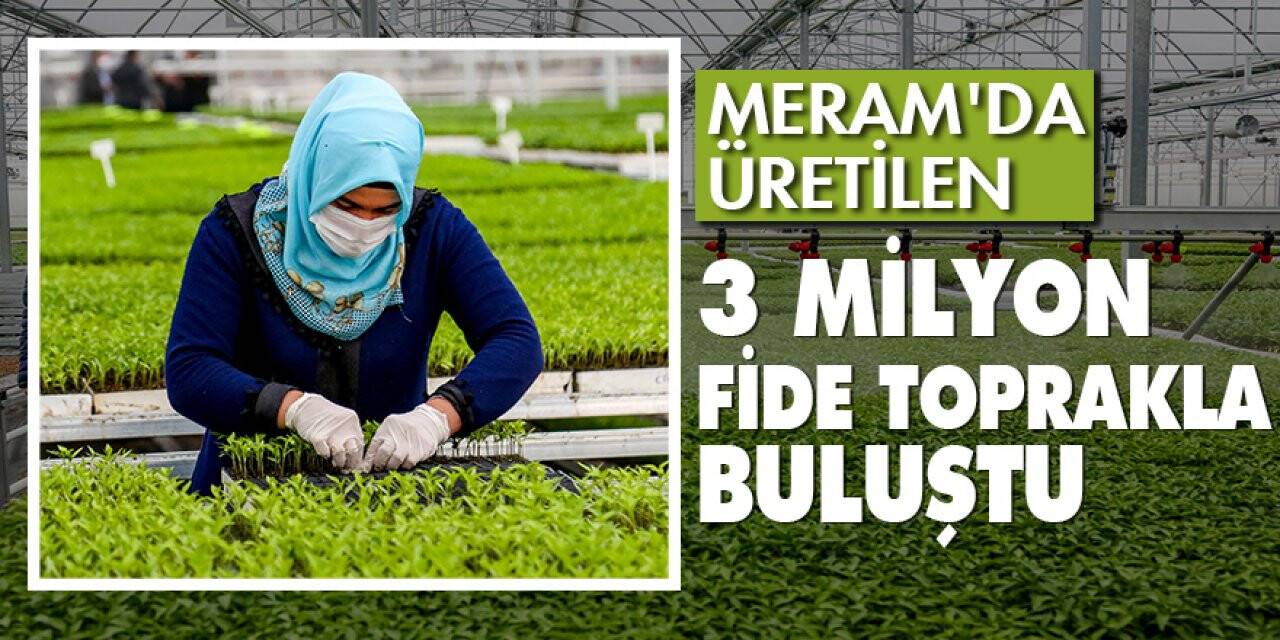 Meram'da üretilen 3 milyon fide toprakla buluştu