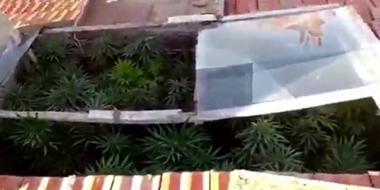 Konya’da uyuşturucu operasyonu