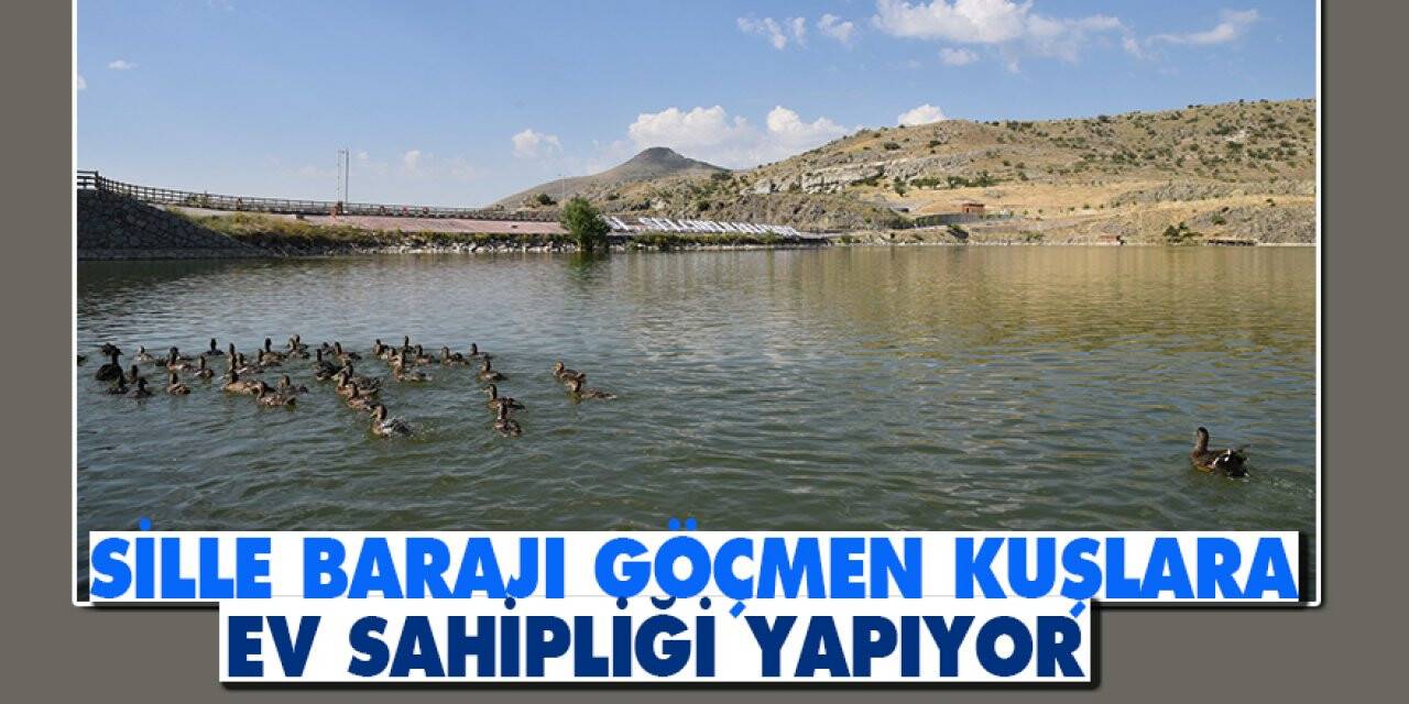 Sille Barajı göçmen kuşlara ev sahipliği yapıyor
